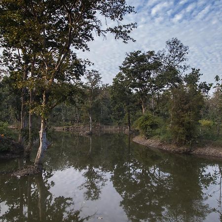 Wowstayz Pachmarhi Ecotel ภายนอก รูปภาพ